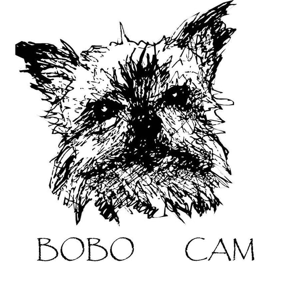 Bobo Cam